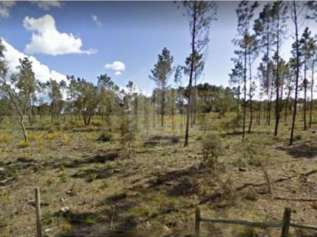 Terreno à venda Charneca da Cotovia, Sesimbra, Setúbal
