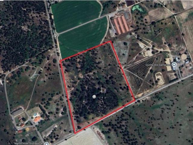 Terreno à venda Academia Sporting, Alcochete, Setúbal