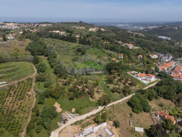 Terreno à venda Alcobaça, Portugal