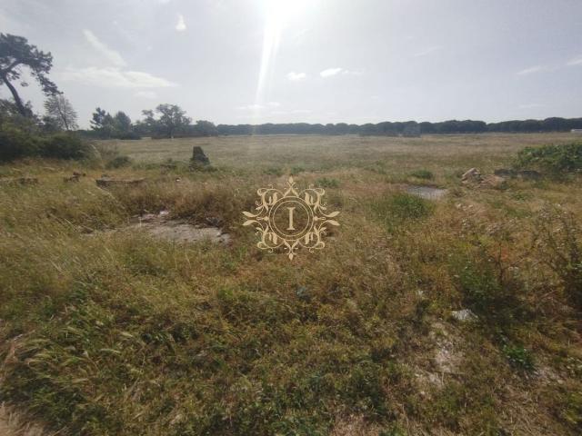 Terreno à venda Alcochete, Setúbal