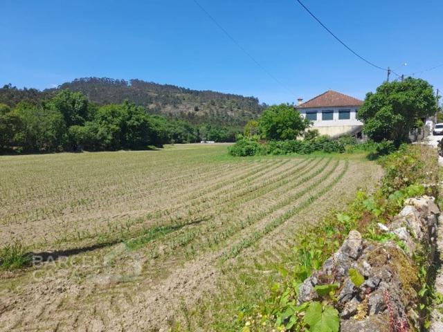 Terreno à venda Barcelos, Braga