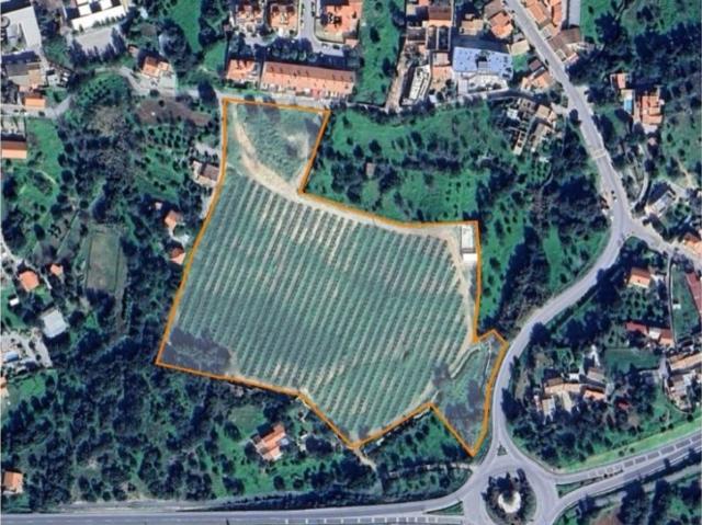 Terreno à venda Barrabes, São Brás de Alportel, Faro