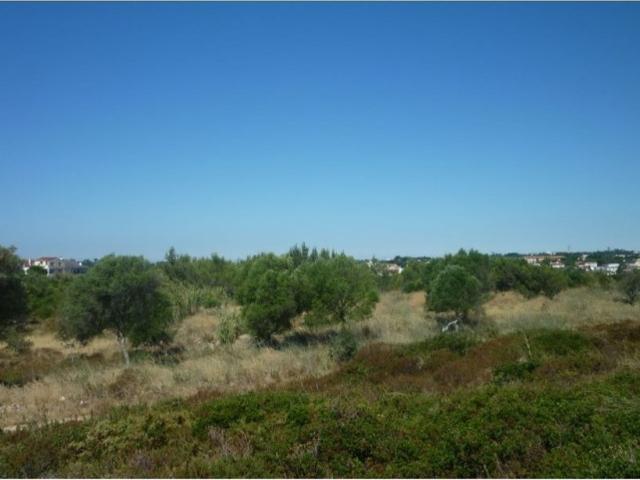 Terreno à venda Bicesse, Cascais, Lisboa