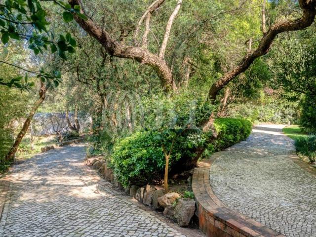 Terreno à venda Birre, Cascais, Lisboa
