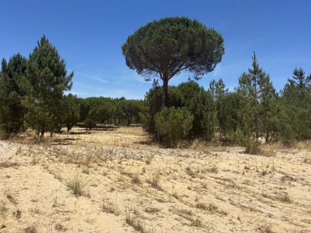 Terreno à venda Grândola, Portugal