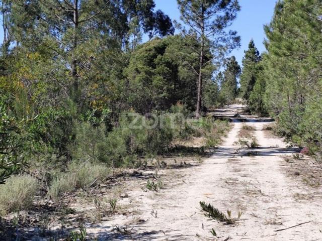 Terreno à venda Grândola, Portugal