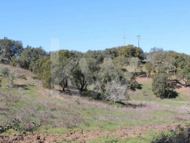 Terreno à venda Grândola, Setúbal