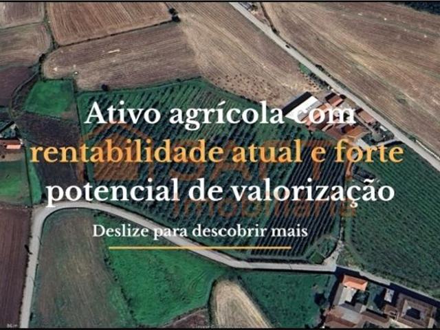 Terreno à venda Gueral, Barcelos, Braga