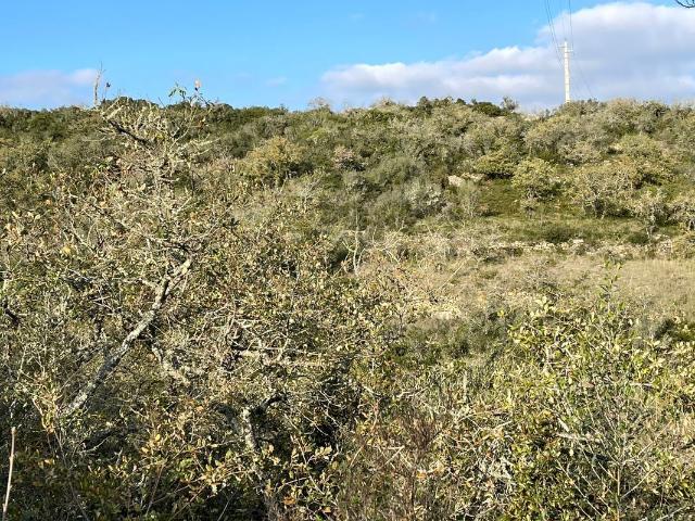 Terreno à venda em Cabrela