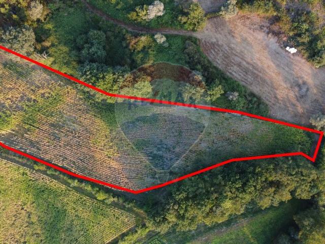 Terreno à venda em Póvoa de Lanhoso