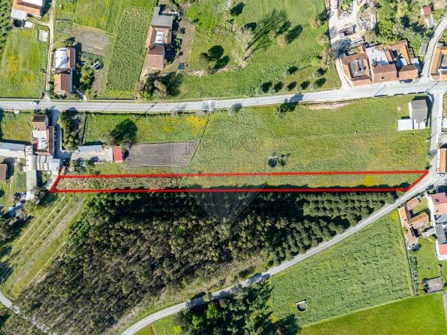 Terreno à venda em Cantanhede