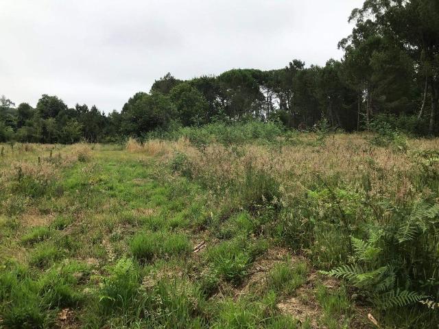 Terreno à venda em Nelas