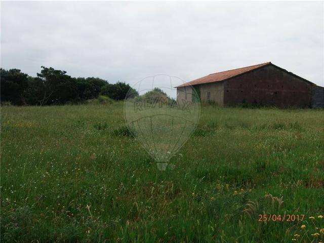 Terreno à venda em Carvide