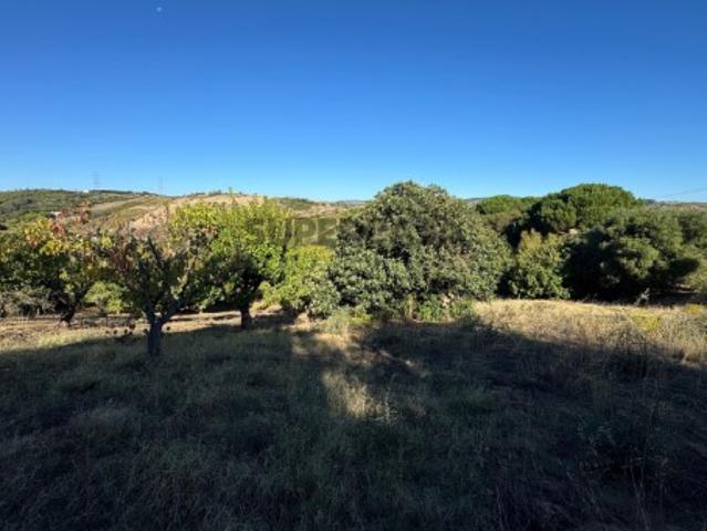 Terreno à venda em Castanheira do Ribatejo, Vila Franca de Xira