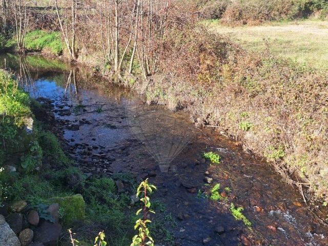 Terreno à venda em Castelo Branco