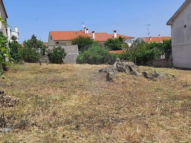 Terreno à venda em Castelo Branco