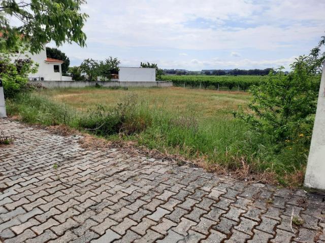 Terreno à venda em Castelo Branco