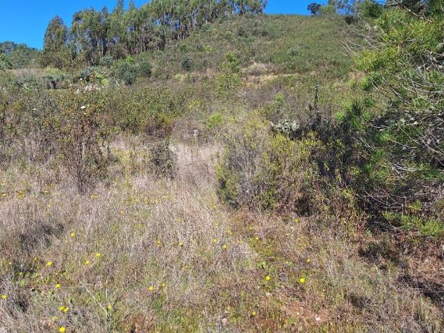 Terreno à venda em Castelo Branco