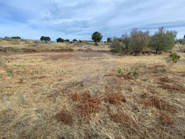 Terreno à venda em Castelo Branco