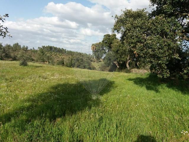Terreno à venda em Castelo Branco