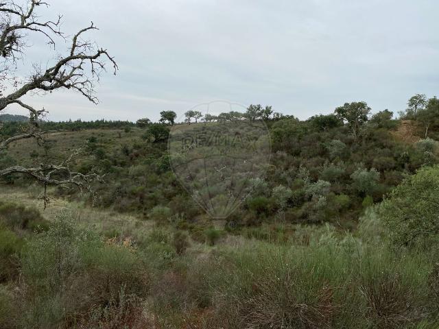 Terreno à venda em Castelo Branco