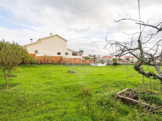 Terreno à venda em Castelo Branco