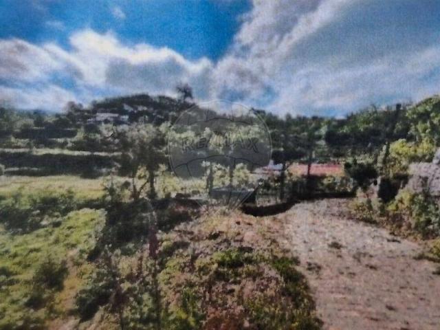 Terreno à venda em Amarante