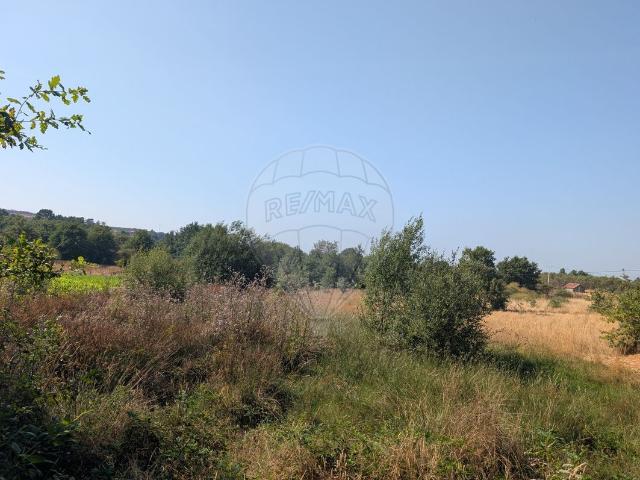 Terreno à venda em Amarante