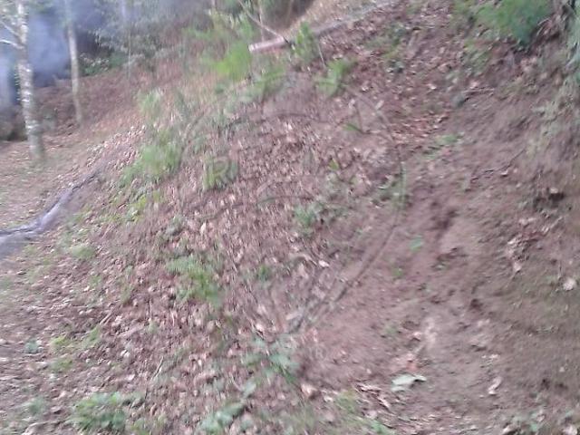 Terreno à venda em Amarante