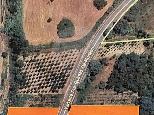 Terreno à venda em Anadia