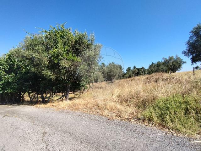 Terreno à venda em Abrantes