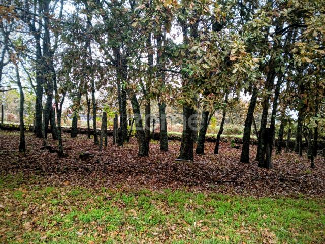 Terreno à venda em Abraveses, Viseu