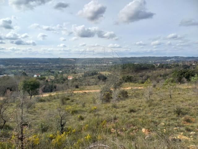 Terreno à venda em Alvaiázere