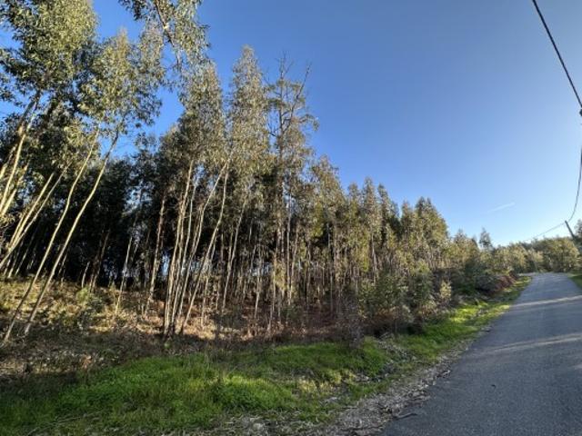 Terreno à venda em Alvaiázere, Leiria