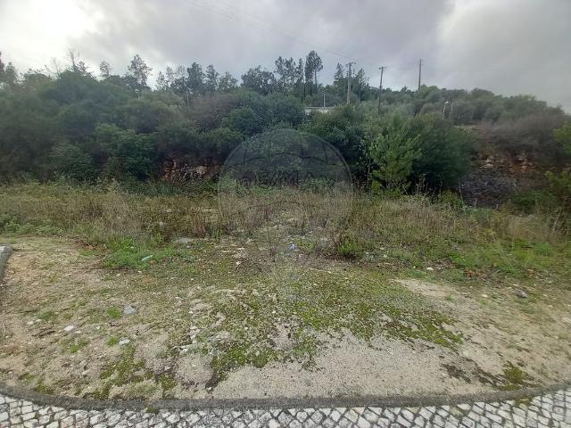 Terreno à venda em Alcanena