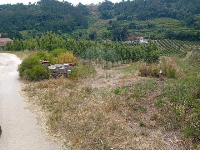 Terreno à venda em Alcobaça