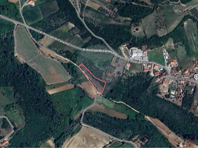Terreno à venda em Alcobaça