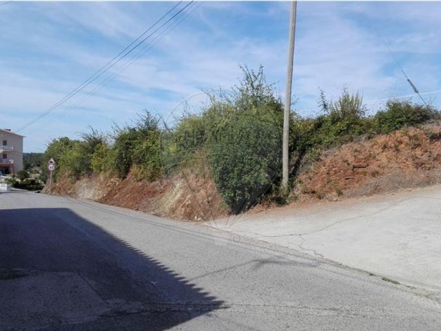 Terreno à venda em Alcobaça