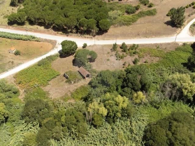 Terreno à venda em Alcobaça