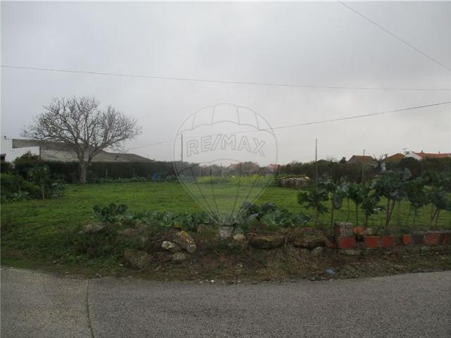 Terreno à venda em Alcobaça