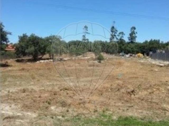 Terreno à venda em Alcobaça