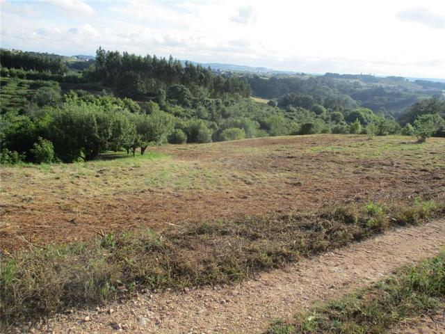 Terreno à venda em Alcobaça
