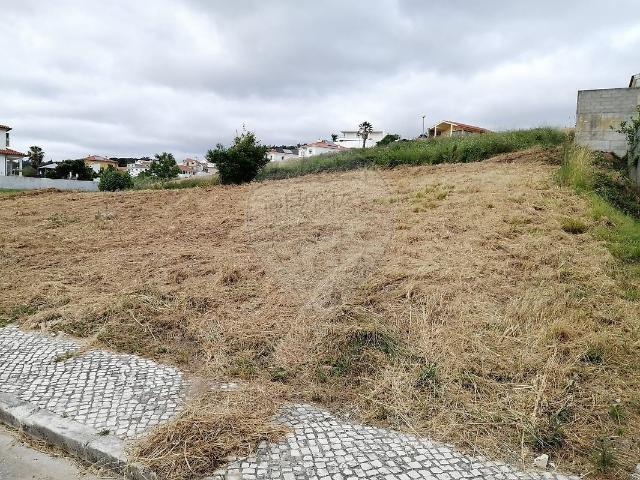 Terreno à venda em Alcobaça