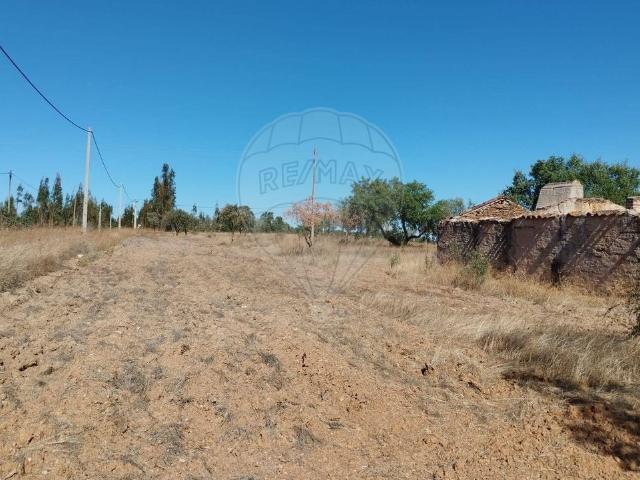 Terreno à venda em Alcôrrego