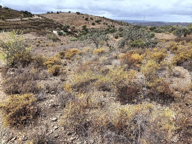 Terreno à venda em Alcoutim