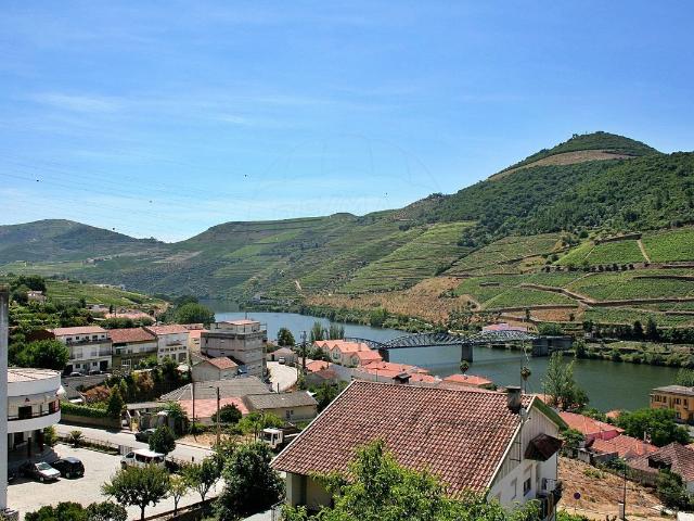 Terreno à venda em Alijó