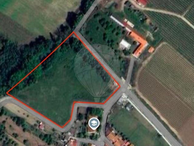 Terreno à venda em Almeirim