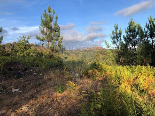 Terreno à venda em Arcos de Valdevez