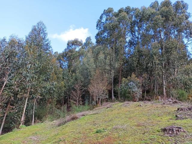 Terreno à venda em Arcos de Valdevez