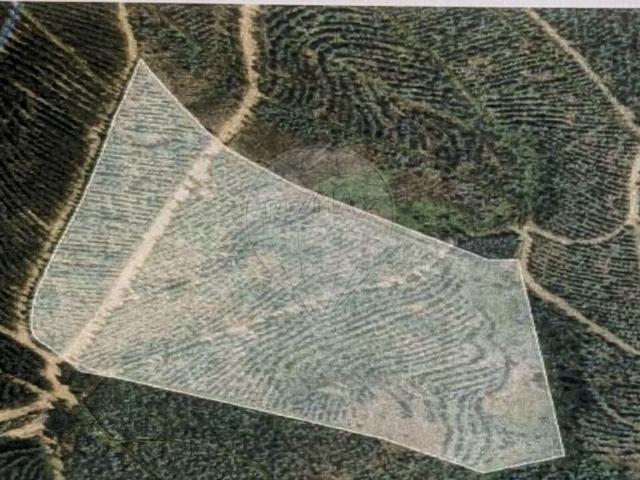 Terreno à venda em Arouca